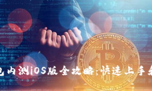 TP钱包内测iOS版全攻略：快速上手和体验
