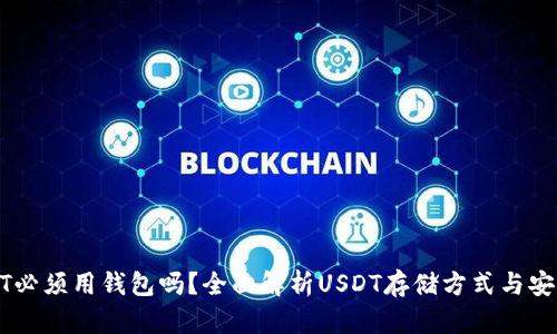 USDT必须用钱包吗？全面解析USDT存储方式与安全性