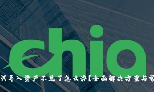 TP钱包助记词导入资产不见了怎么办？全面解决方案与常见问题解析