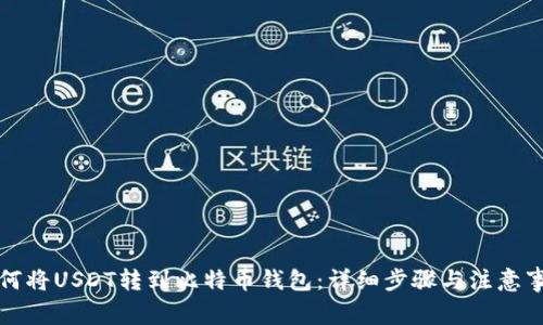 如何将USDT转到比特币钱包：详细步骤与注意事项