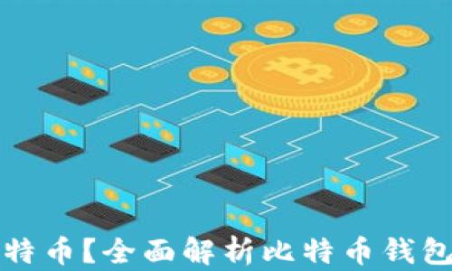
什么钱包能存比特币？全面解析比特币钱包类型与选择指南