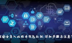 如何安全导入比特币钱包