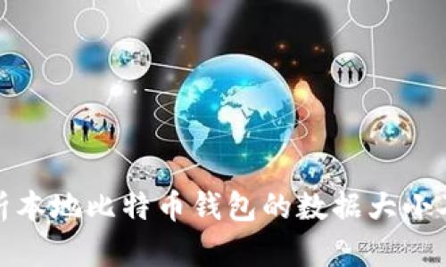 : 深入解析本地比特币钱包的数据大小及影响因素