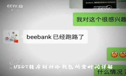 USDT转库到神冷钱包所需时间详解