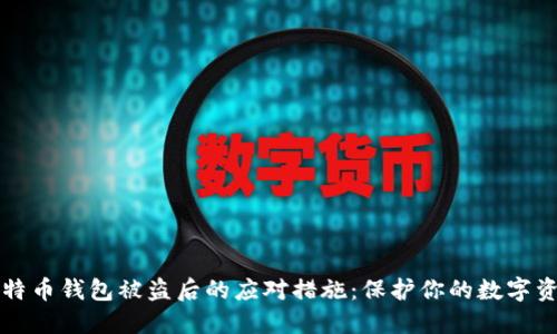 比特币钱包被盗后的应对措施：保护你的数字资产