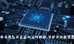 比特币钱包被盗后的应对措施：保护你的数字资