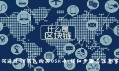 如何通过TP钱包购买OSK币：详细步骤与注意事项