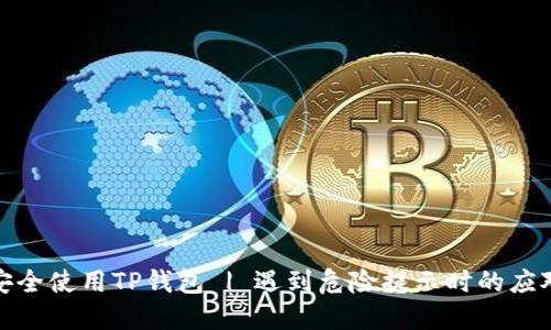 如何安全使用TP钱包 | 遇到危险提示时的应对策略