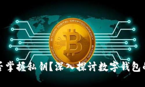 TP钱包官方是否掌握私钥？深入探讨数字钱包的安全性与隐私